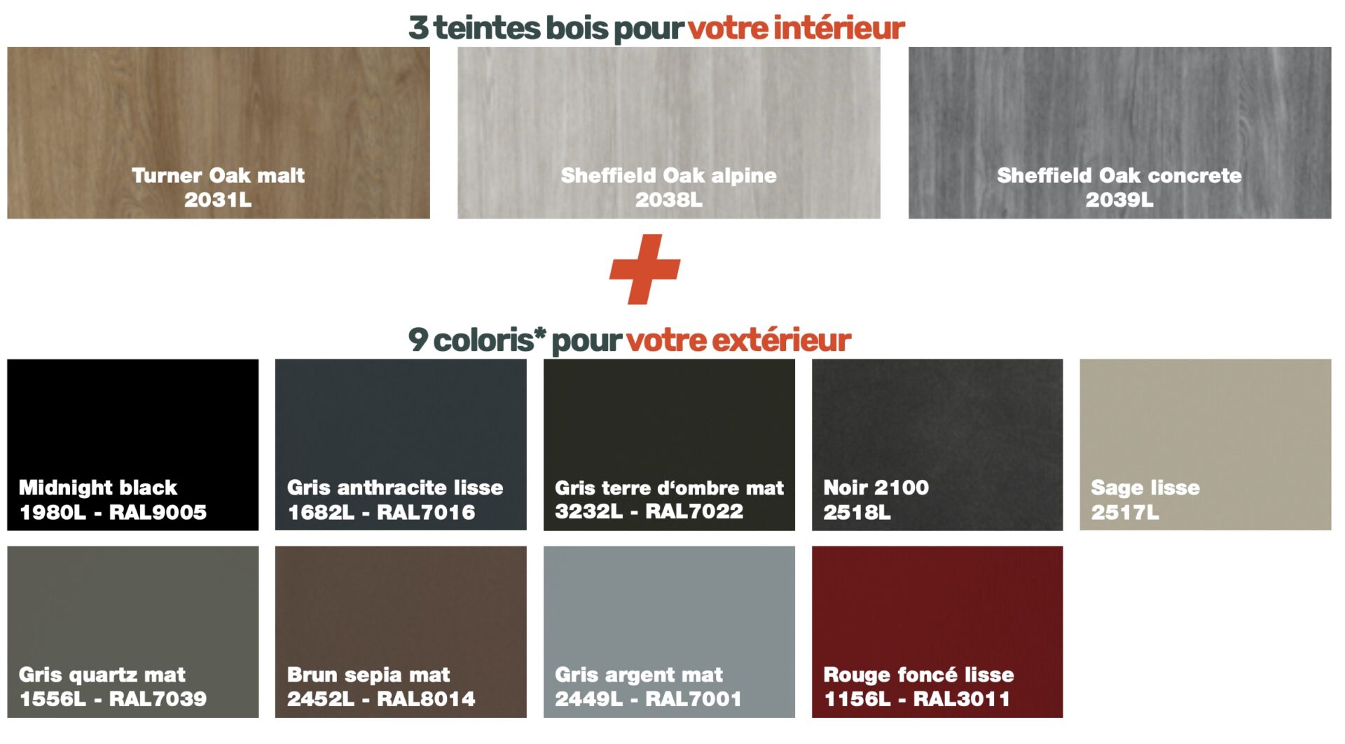 muti colorisation